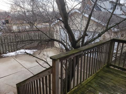 1546 N Wolf Rd, Berkeley, IL 60163 photo 15