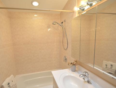 515 Michael Mnr, Glenview, IL 60025 photo 17