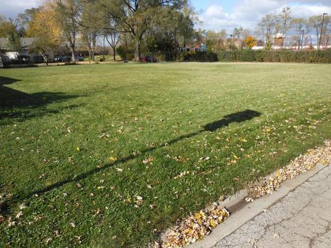362 1st St, Wheeling, IL 60090 photo 6