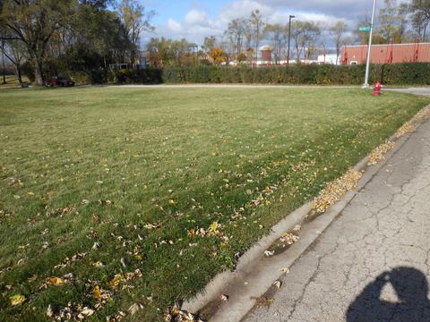 362 1st St, Wheeling, IL 60090 photo 5