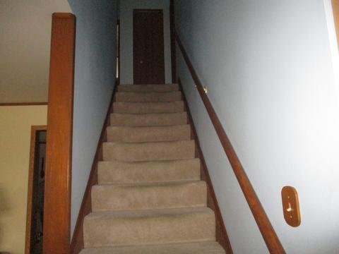 627 E Walnut St, Peotone, IL 60468 photo 21