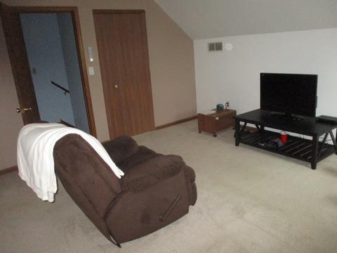 627 E Walnut St, Peotone, IL 60468 photo 23