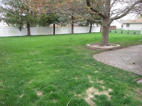 627 E Walnut St, Peotone, IL 60468 photo 4