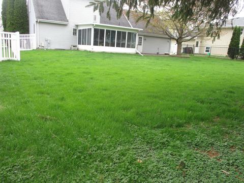 627 E Walnut St, Peotone, IL 60468 photo 6