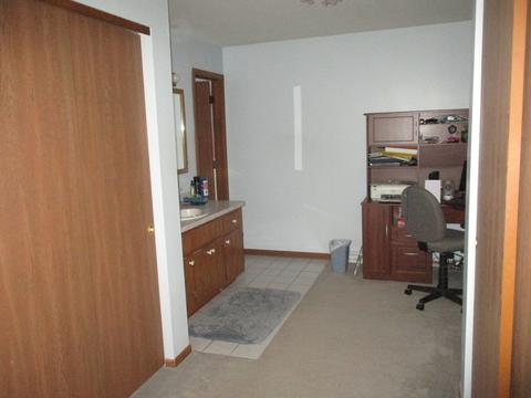 627 E Walnut St, Peotone, IL 60468 photo 20