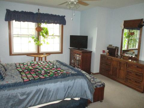 627 E Walnut St, Peotone, IL 60468 photo 18