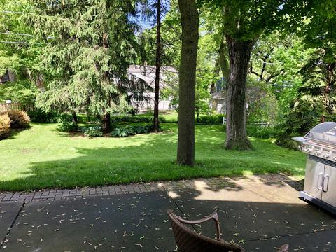 212 S Oak St, Itasca, IL 60143 photo 19