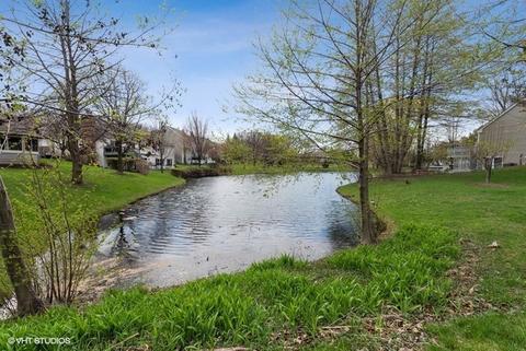744 Crab Tree Ln, Bartlett, IL 60103 photo 17