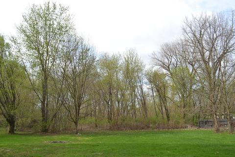 746 W 3rd St, Braidwood, IL 60408 photo 19