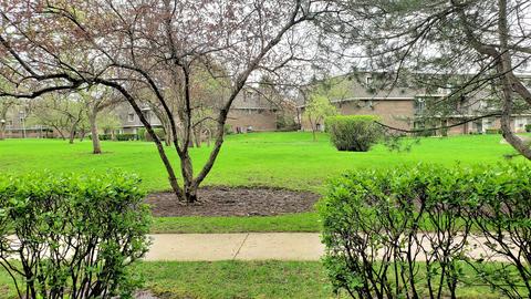 134 E Bailey Rd #D, Naperville, IL 60565 photo 14