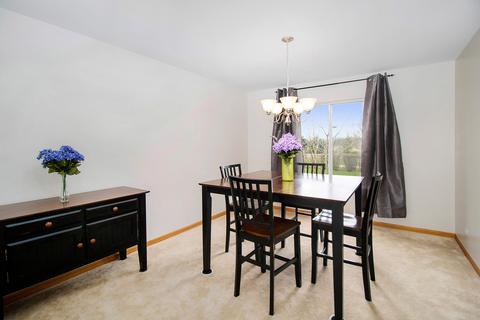 1041 Wright Ct, Plano, IL 60545 photo 7