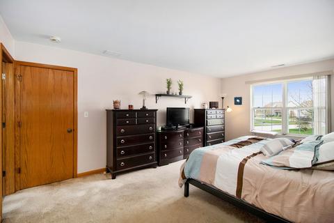 1041 Wright Ct, Plano, IL 60545 photo 20