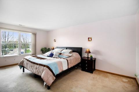 1041 Wright Ct, Plano, IL 60545 photo 19
