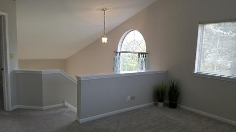 1008 Spring Ct, Darien, IL 60561 photo 23