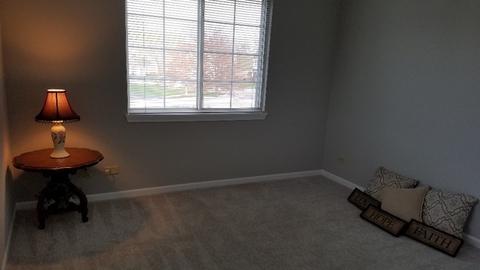 1008 Spring Ct, Darien, IL 60561 photo 32