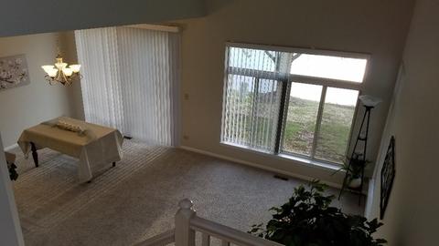 1008 Spring Ct, Darien, IL 60561 photo 21