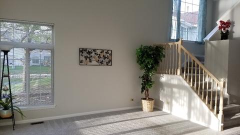 1008 Spring Ct, Darien, IL 60561 photo 10