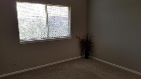 1008 Spring Ct, Darien, IL 60561 photo 28