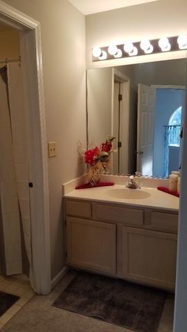 1008 Spring Ct, Darien, IL 60561 photo 29