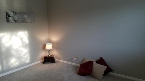 1008 Spring Ct, Darien, IL 60561 photo 27