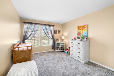 2705 Bay View Cir, Algonquin, IL 60102 photo 23
