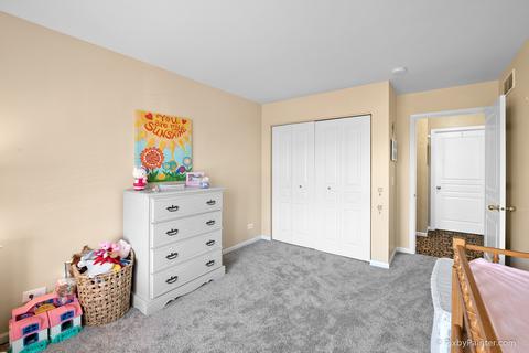 2705 Bay View Cir, Algonquin, IL 60102 photo 19