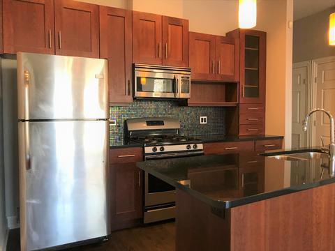 1257 E 46th St #201E, Chicago, IL 60653 photo 12