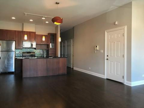 1257 E 46th St #201E, Chicago, IL 60653 photo 8