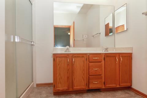 21431 W Juniper Ln, Plainfield, IL 60544 photo 8