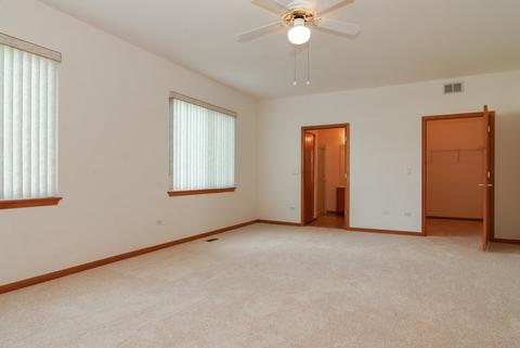 21431 W Juniper Ln, Plainfield, IL 60544 photo 7
