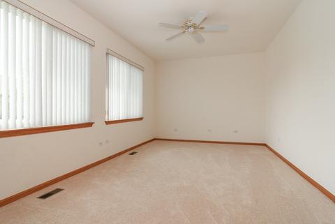 21431 W Juniper Ln, Plainfield, IL 60544 photo 6