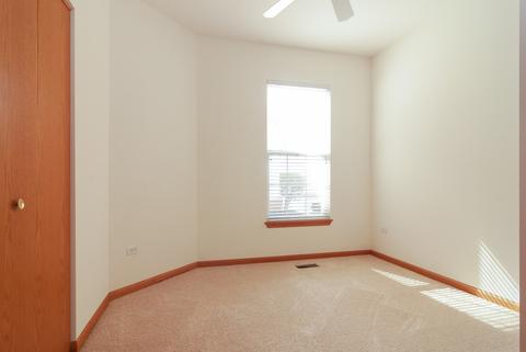 21431 W Juniper Ln, Plainfield, IL 60544 photo 9