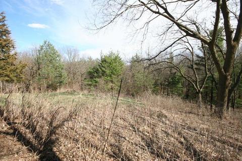 7319 Trey Rd, Mchenry, IL 60050 photo 23