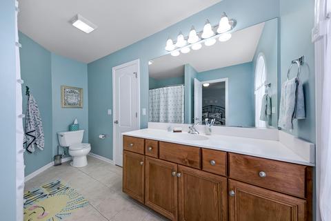 13029 Skyline Dr, Plainfield, IL 60585 photo 23