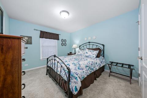 13029 Skyline Dr, Plainfield, IL 60585 photo 24