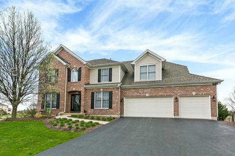 13029 Skyline Dr, Plainfield, IL 60585 photo 50