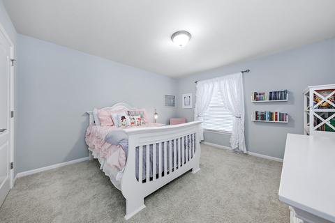 13029 Skyline Dr, Plainfield, IL 60585 photo 22