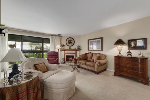 245 Windsor Ln #D, Willowbrook, IL 60527 photo 4