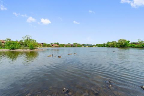 245 Windsor Ln #D, Willowbrook, IL 60527 photo 23