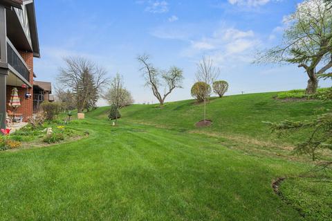 245 Windsor Ln #D, Willowbrook, IL 60527 photo 21