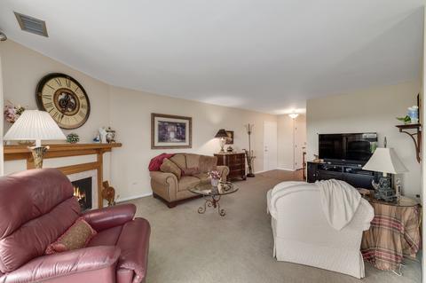 245 Windsor Ln #D, Willowbrook, IL 60527 photo 5