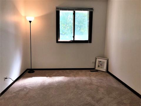 1511 Johnstown Ct, Wheaton, IL 60189 photo 13
