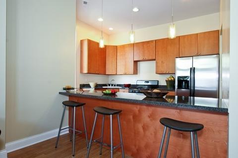 439 E 45th Pl, Chicago, IL 60637 photo 3