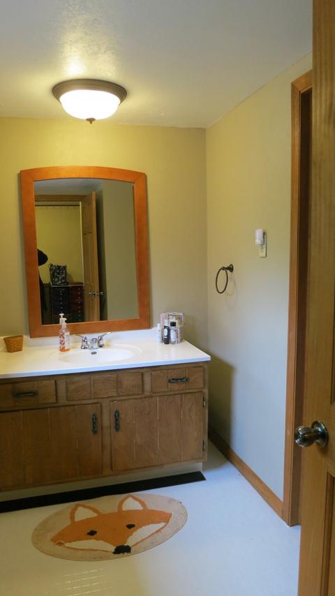 406 E Madison St, Philo, IL 61864 photo 27