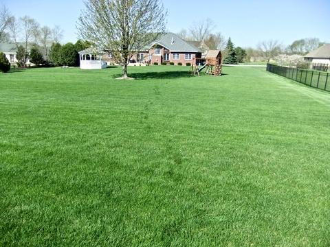 18031 S Spring Meadows Dr, Mokena, IL 60448 photo 4