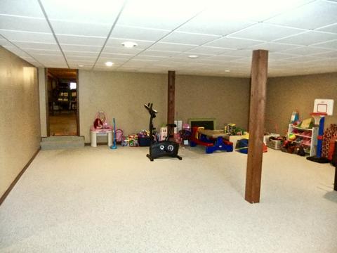 18031 S Spring Meadows Dr, Mokena, IL 60448 photo 29