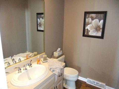 18031 S Spring Meadows Dr, Mokena, IL 60448 photo 13