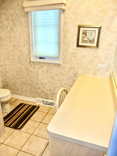 18031 S Spring Meadows Dr, Mokena, IL 60448 photo 21