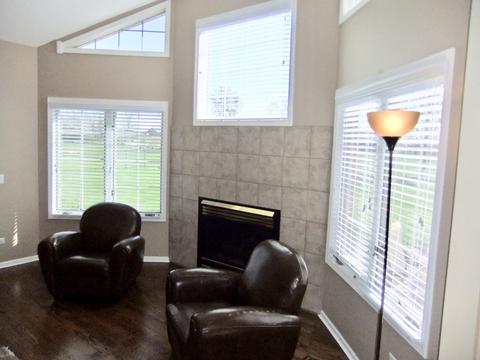 18031 S Spring Meadows Dr, Mokena, IL 60448 photo 11