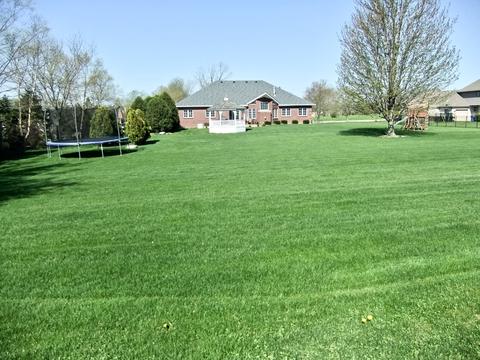 18031 S Spring Meadows Dr, Mokena, IL 60448 photo 3